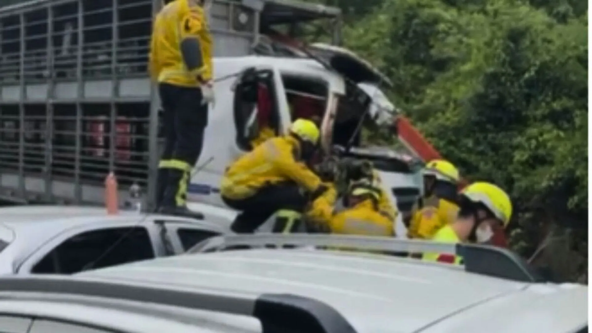 Acidente na BR-282 com caminhão de suínos deixa pessoas feridas