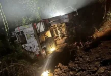 Caminhão carregado de ração tomba em ribanceira de mais de 10 metros