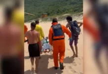 Mulher é atacada por capivara ao mergulhar em lagoa e precisou de resgate