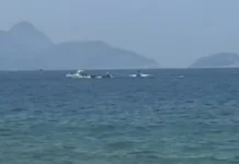 Avião de publicidade cai no mar no RJ