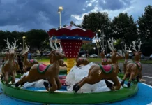 Carrossel gratuito é instalado no Parque Central de Caçador