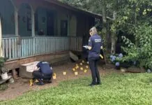 Polícia Civil prende homem acusado de matar o irmão em Macieira