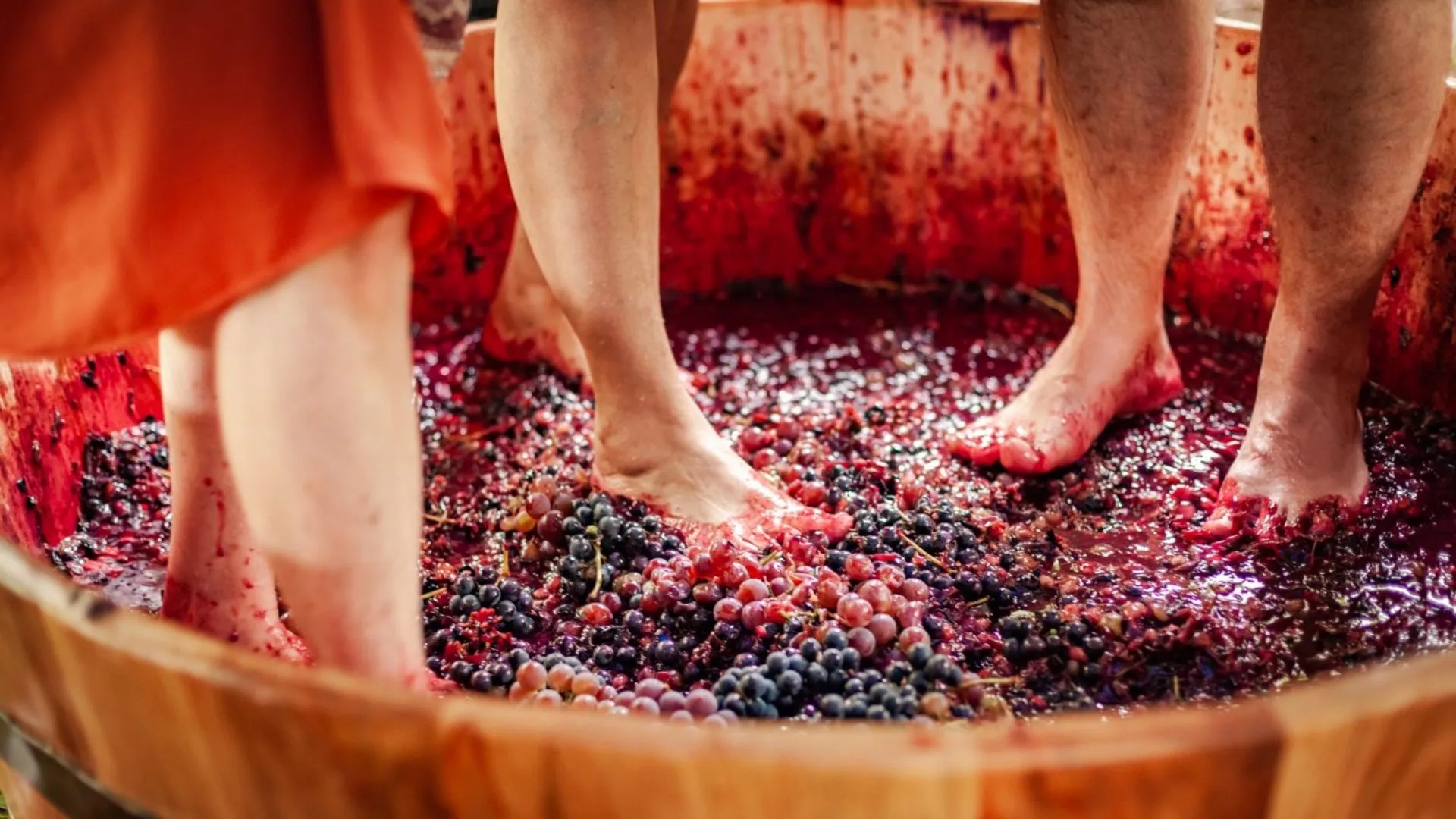 Pinheiro Preto se prepara para 1ª Vindima oficial