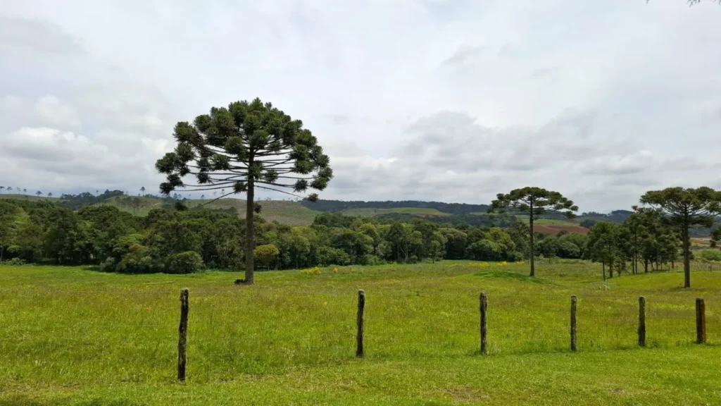 Santa Catarina começa a ter melhora no tempo