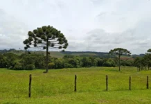 Santa Catarina começa a ter melhora no tempo