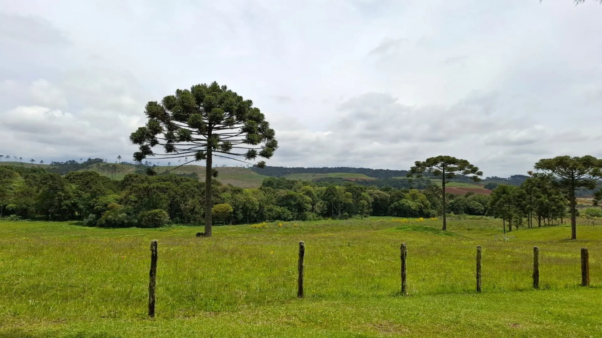 Santa Catarina começa a ter melhora no tempo