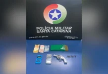 Homem é detido com revólver e mais de meio quilo de maconha