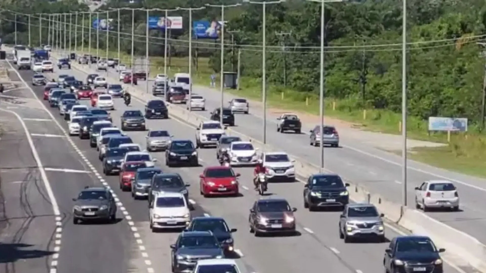 BRs catarinenses devem registrar aumento de 75% no fluxo