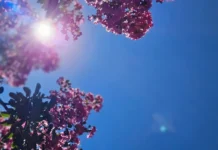 Tempo firme predomina em Santa Catarina nesta segunda-feira