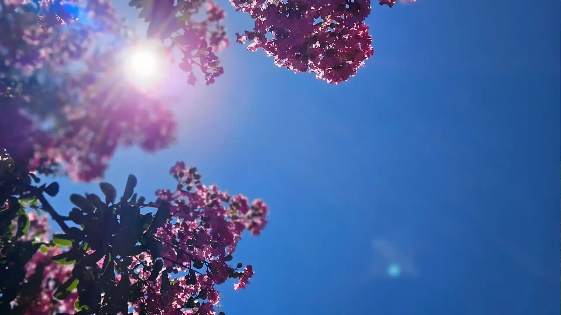 Tempo firme predomina em Santa Catarina nesta segunda-feira