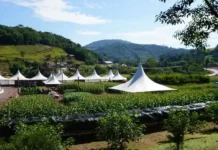 Tangará recebe o 22º Plantão Técnico da Cootan com foco em inovação no agronegócio