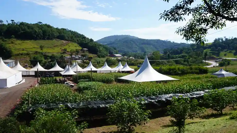 Tangará recebe o 22º Plantão Técnico da Cootan com foco em inovação no agronegócio