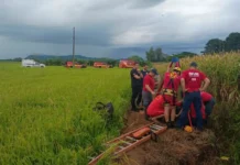 Tio tenta salvar sobrinho e ambos morrem afogados em uma barragem de arroz