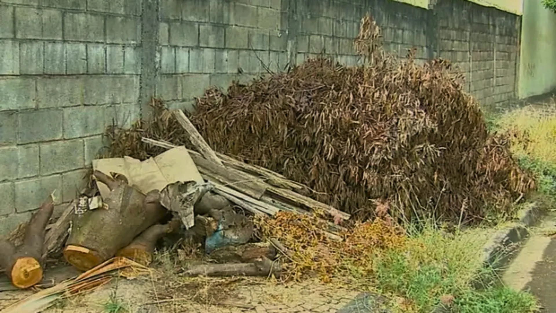 Confira o cronograma da coleta de galhos e móveis em Videira em 2026