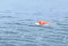 Pescador sobrevive 17 horas à deriva agarrado a porta de geladeira em SC