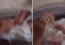 Bebê de 50 dias é afastado dos pais após denúncia de maus-tratos em SC