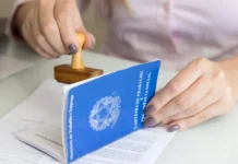 Micro e pequenas empresas respondem por 60,5% dos empregos em SC