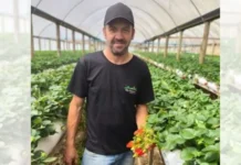 Informação falsa de criminosos do PR leva policiais a matarem agricultor no RS