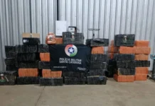 Depósito com quase 2 toneladas de drogas é descoberto às margens da BR-282