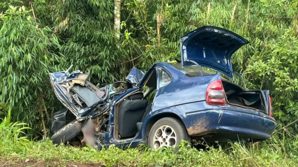 Mãe grávida e irmã de menino de 4 anos não resistem a acidente na SC-154