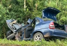 Mãe grávida e irmã de menino de 4 anos não resistem a acidente na SC-154