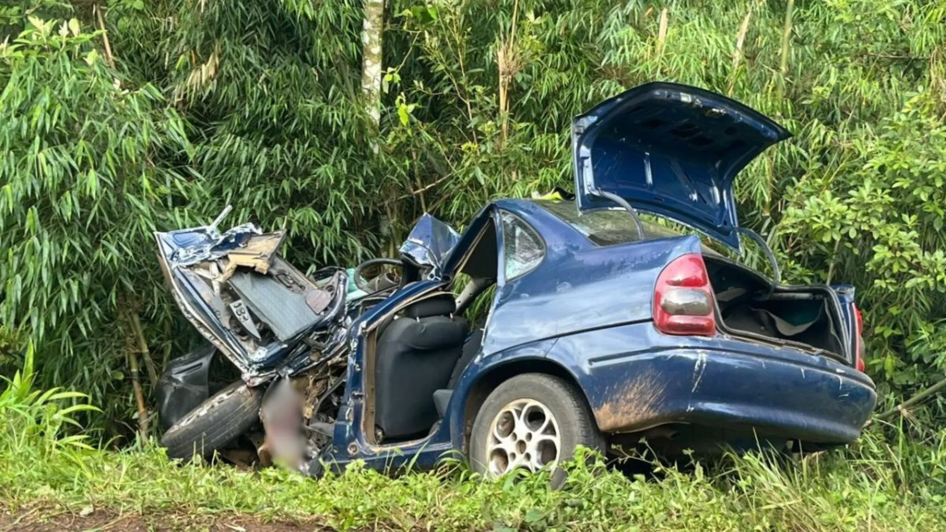 Mãe grávida e irmã de menino de 4 anos não resistem a acidente na SC-154