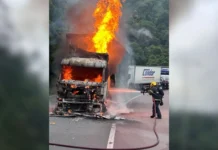 Carga de cerveja é saqueada após caminhão incendiar na BR-376