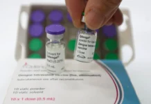 Vacinação contra dengue é ampliada em Santa Catarina