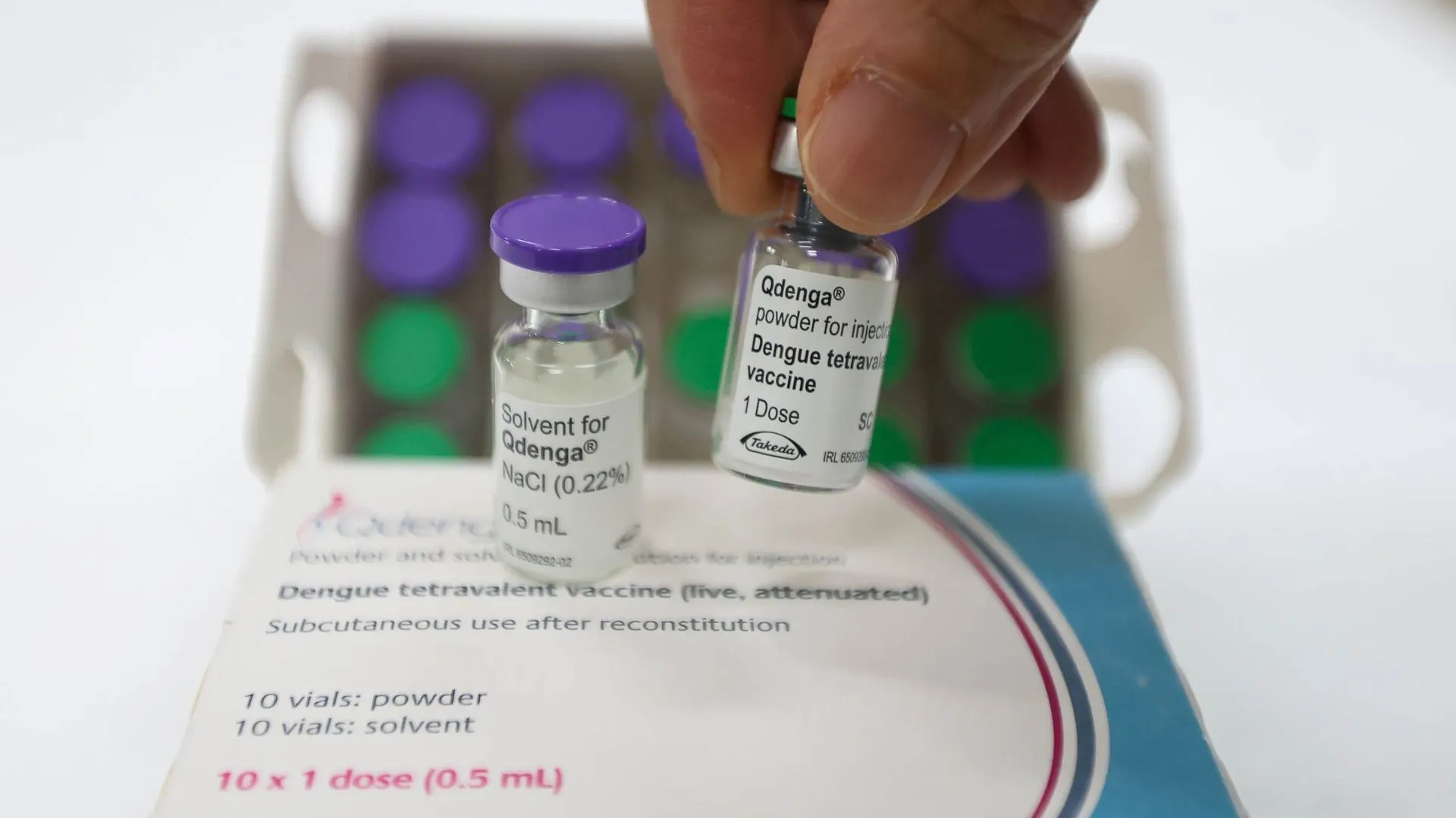 Vacinação contra dengue é ampliada em Santa Catarina