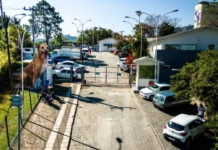 Primeiro hospital veterinário público de SC terá nome de Cão Orelha