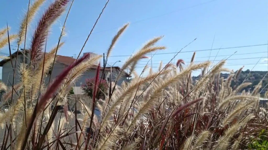 Domingo começa com tempo firme, mas há risco de temporais isolados