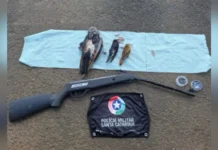 Polícia Militar Ambiental registra caça ilegal no Meio Oeste