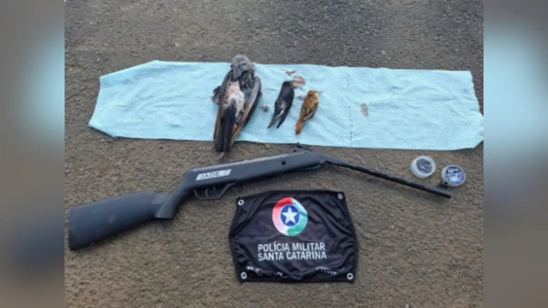 Polícia Militar Ambiental registra caça ilegal no Meio Oeste