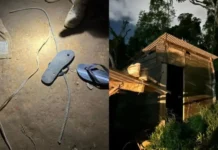 Sequestradores são presos após manter jovens em cativeiro em SC