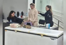 STF reconhece direito à liberdade provisória para Claudia Tavares