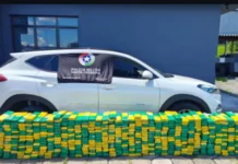 Mais de meia tonelada de maconha é apreendida em Porto União