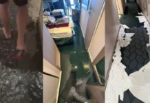 Inundação em navio de cruzeiro alaga cabines e causa pânico