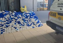 Mais de 17 toneladas de maconha são apreendidas em rodovias de SC