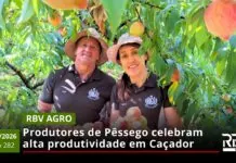 RBV Agro – 24/01/2026 – Edição 282