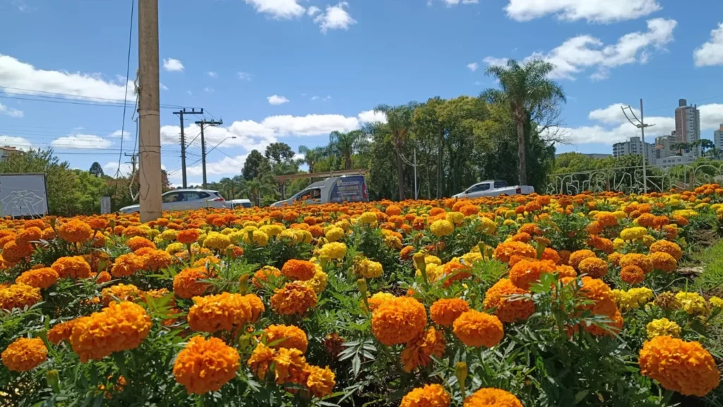 Terça-feira será de tempo firme e frio pela manhã em SC