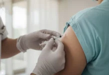 Vacina contra a dengue deve chegar a Caçador em fevereiro