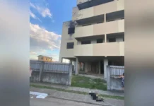 Jovem de 19 anos é preso e dois adolescentes são apreendidos por morte de cão em SC