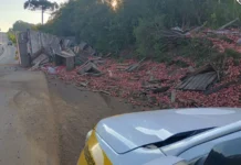 Caminhão carregado de maçãs tomba no interior de Lebon Régis