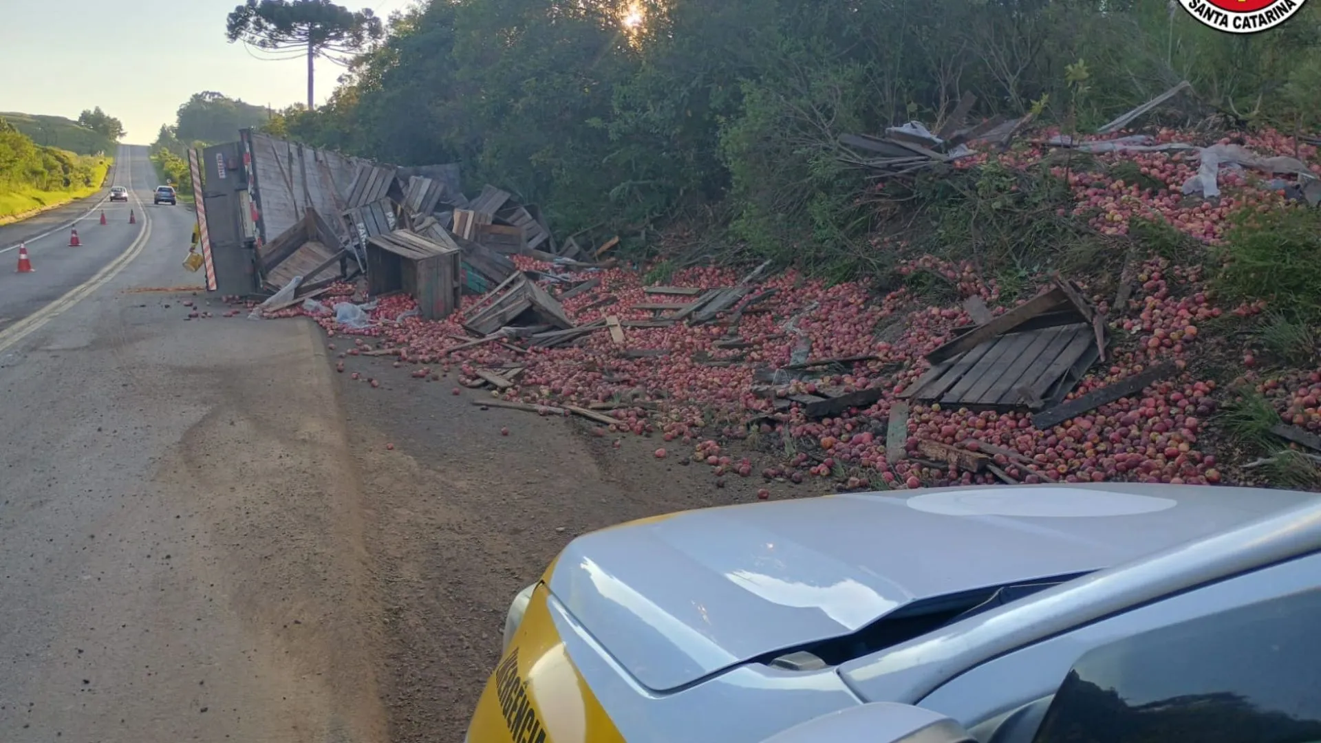 Caminhão carregado de maçãs tomba no interior de Lebon Régis