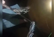 Queda de pinguela deixa 4 feridos no Meio-Oeste