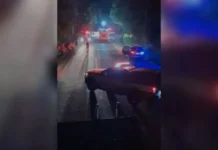 BR-470 supera BR-101 e lidera mortes em rodovias catarinenses