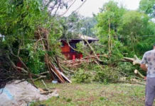 Defesa Civil de Videira atende 20 chamados após temporal