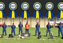 Cães de Santa Catarina são os mais certificados do Brasil em busca e resgate