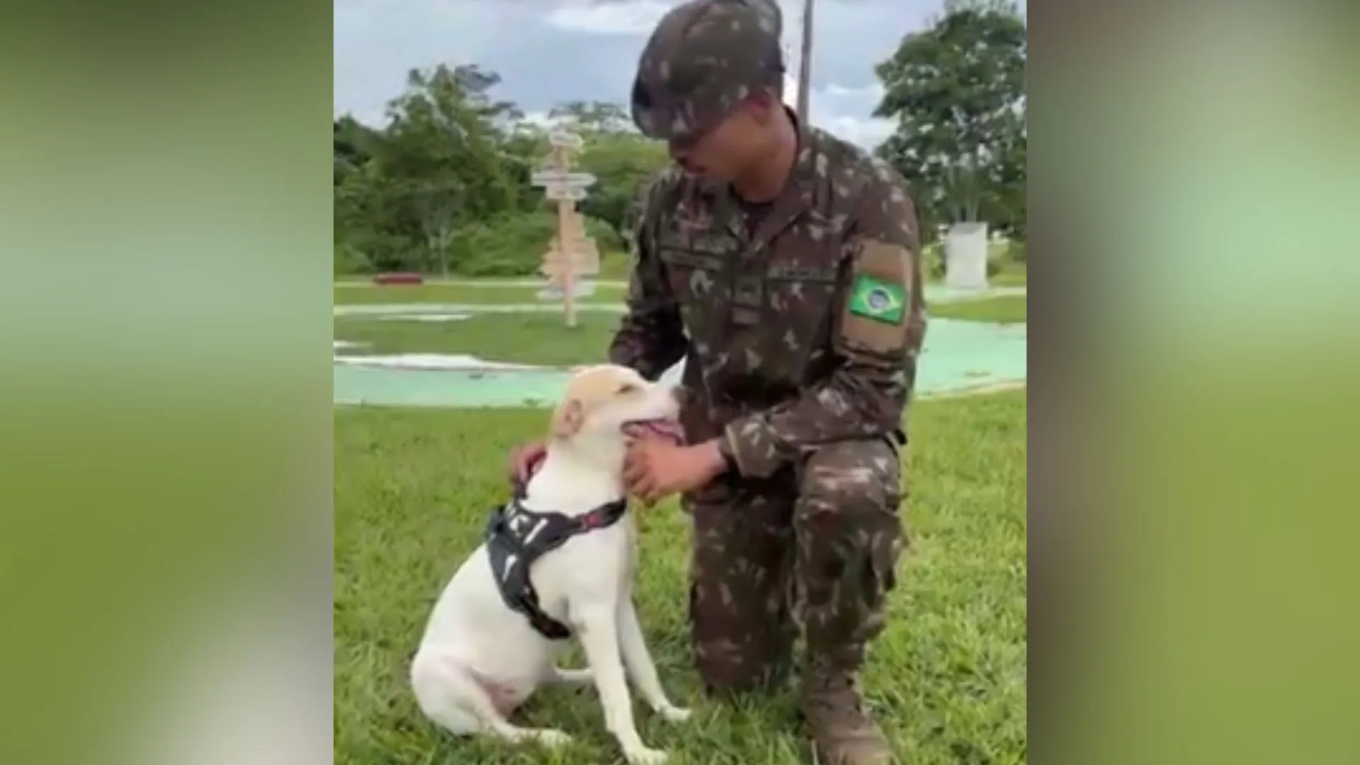 Cadela salva de sucuri de 3 metros é adotada por sargento do Exército