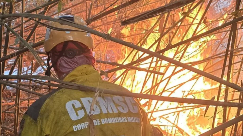 Incêndio atinge área do Parque Estadual Rio Canoas em Campos Novos